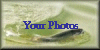 Your Photos